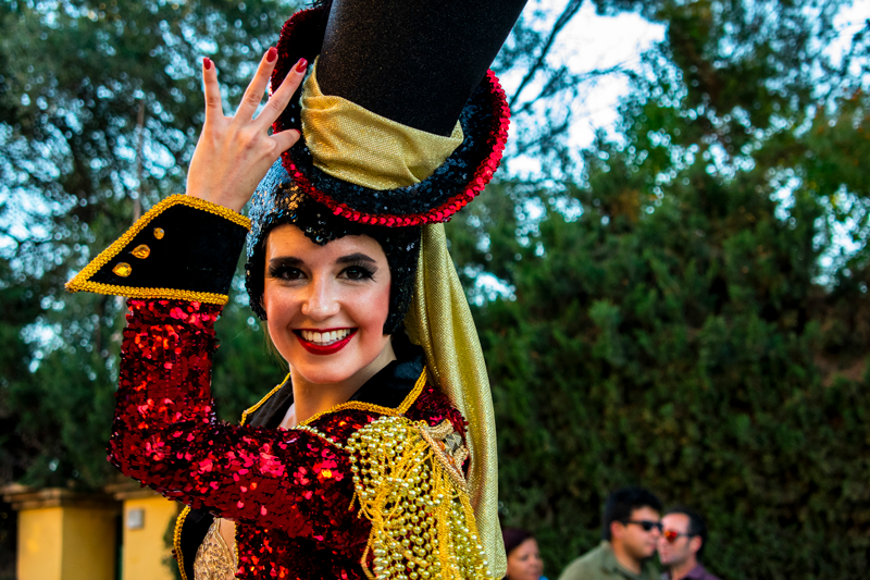 Bienvenidos al carnaval de Santiago de la Ribera