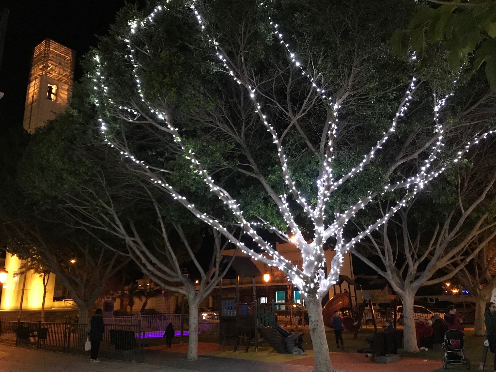 Un parque de Torre Pacheco iluminado para la Navidad