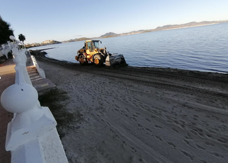 Un tractor allana la playa de Los Aliseos, en la orilla mediterránea de La Manga de San Javier