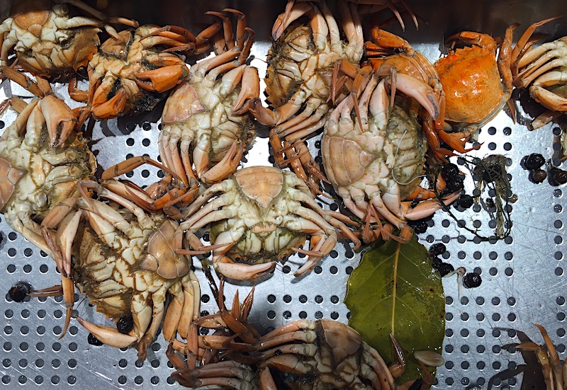 Las populares crancas del Mar Menor resisten a la expansión del cangrejo azul